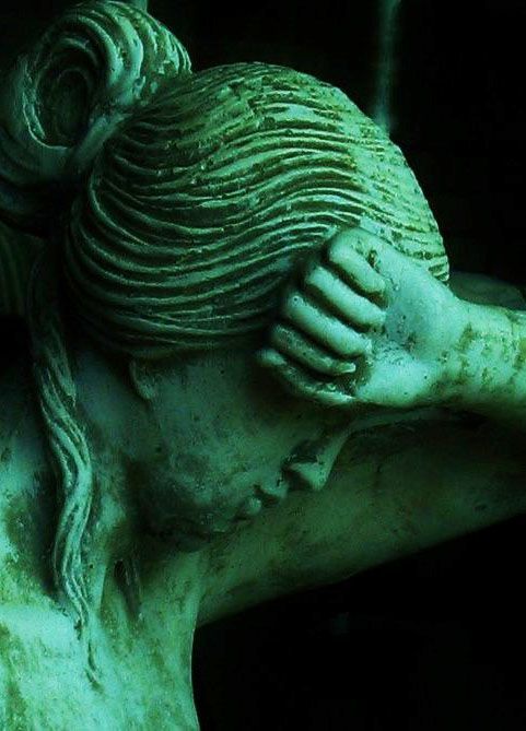 Love and Beauty in Ovid’s&nbsp;Metamorphoses