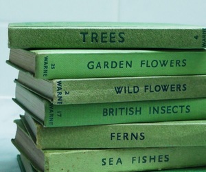 Fahrenheit 451: The Relationship between Machines and&nbsp;Humans