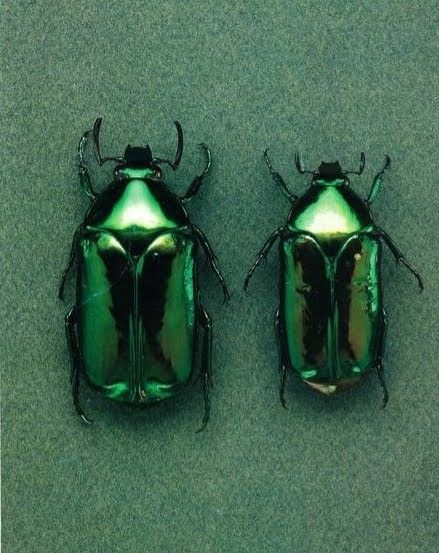 Examining Government Response to&nbsp;COVID-19