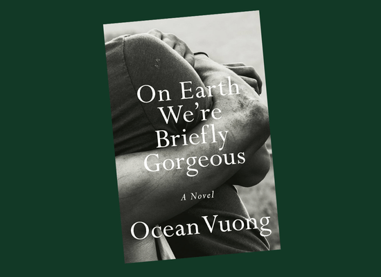 Book Review: On Earth We’re Briefly&nbsp;Gorgeous