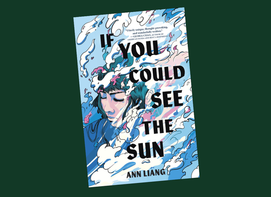 Book Review: If You Could See the&nbsp;Sun